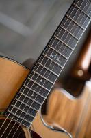 Купить гитару Cort Gold-OC6 Bocote недорого для начинающих